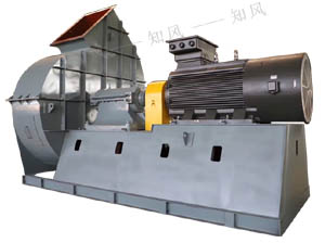 5e0e998454455.jpg G、Y6-51No8D~29.5D.jpg